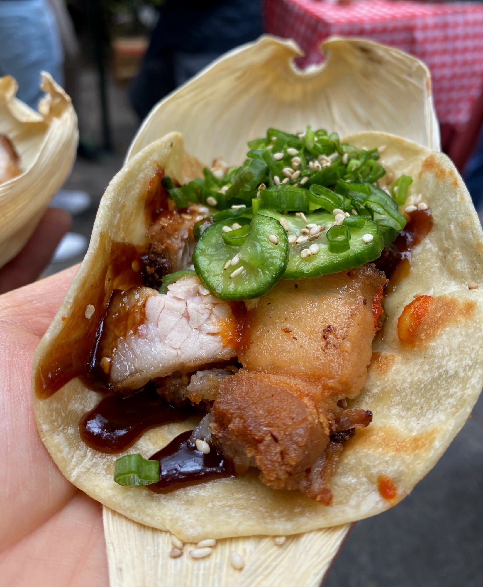 Asian-influenced pork belly taco with cucumber, scallion and sesame from a Mexico City taco tour