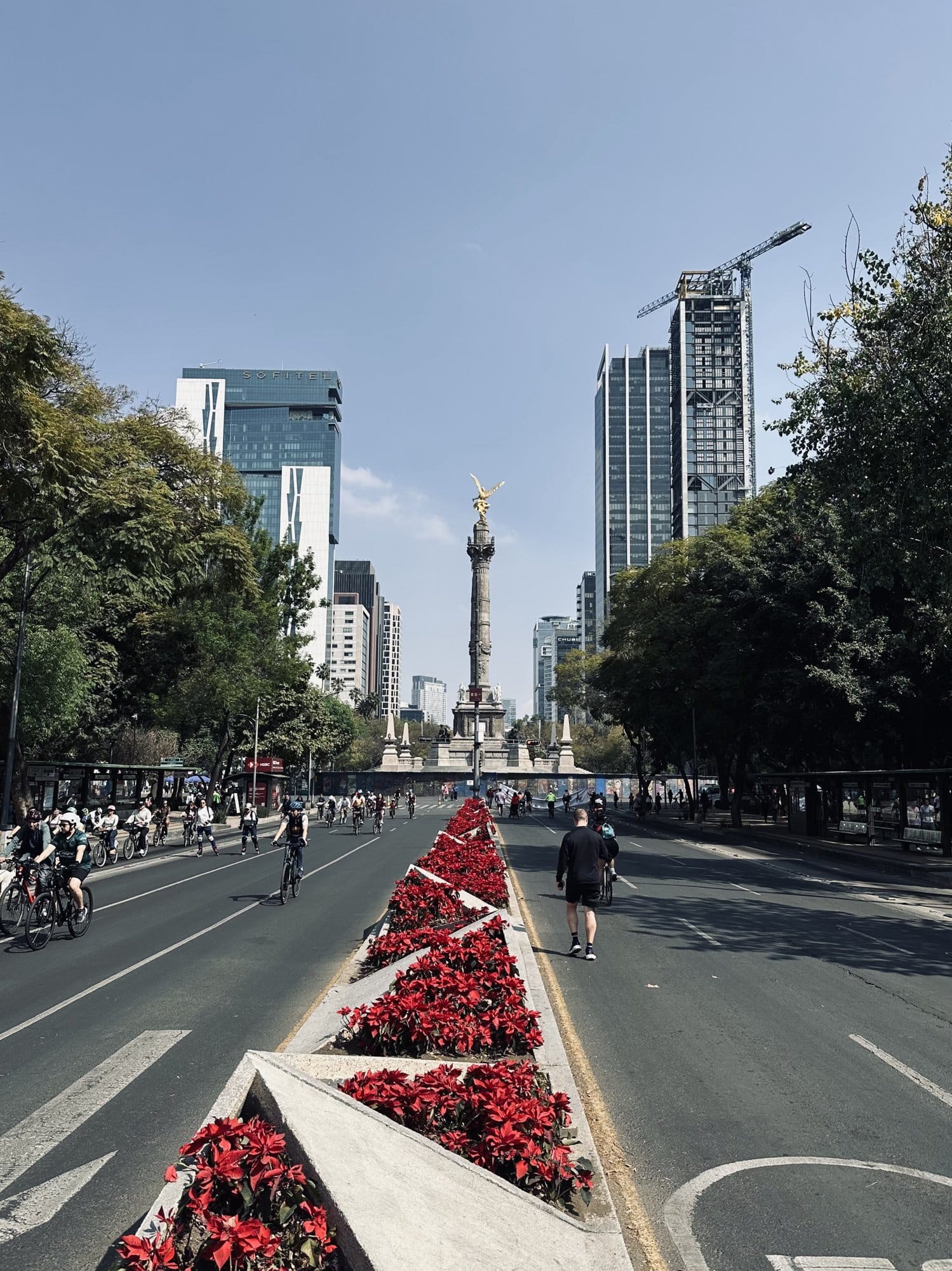 Cyclists and walkers on Paseo de la Reforma during Sunday Ciclovia with the Angel of Independence in the distance, Mexico City