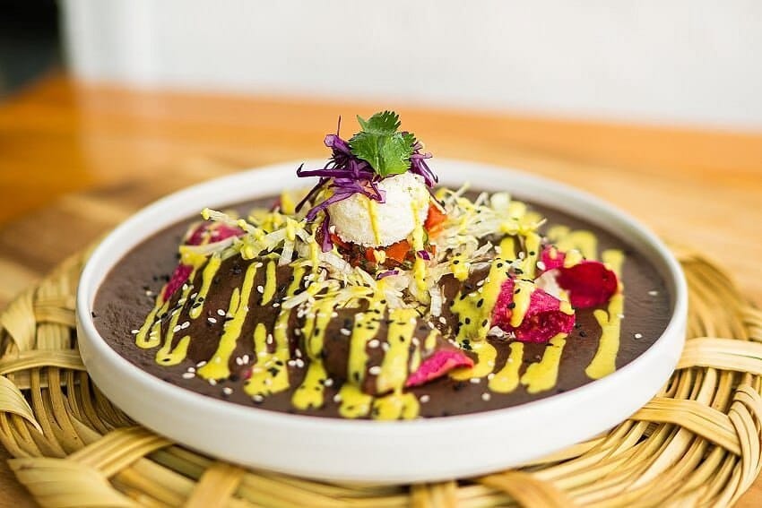 Vegan enfrijoladas in black bean sauce topped with cabbage, dragon fruit and yellow salsa at La Pitahaya in Roma Norte, Mexico City