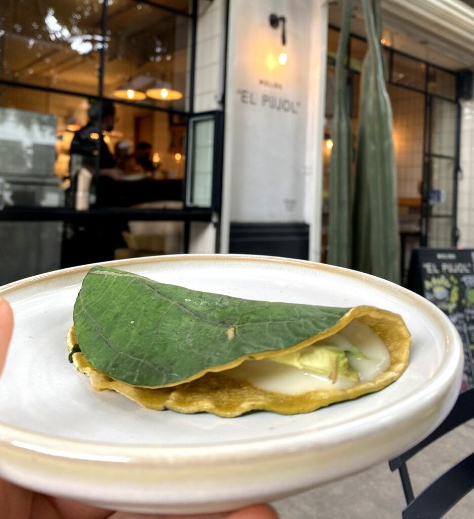 Taco de Aguacate on a blue corn tortilla held in front of the Molino El Pujol sign in Condesa, Mexico City