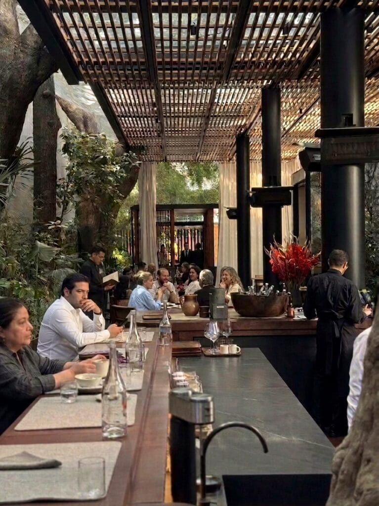 The garden dining room and bar at Pujol restaurant in Polanco, Mexico City