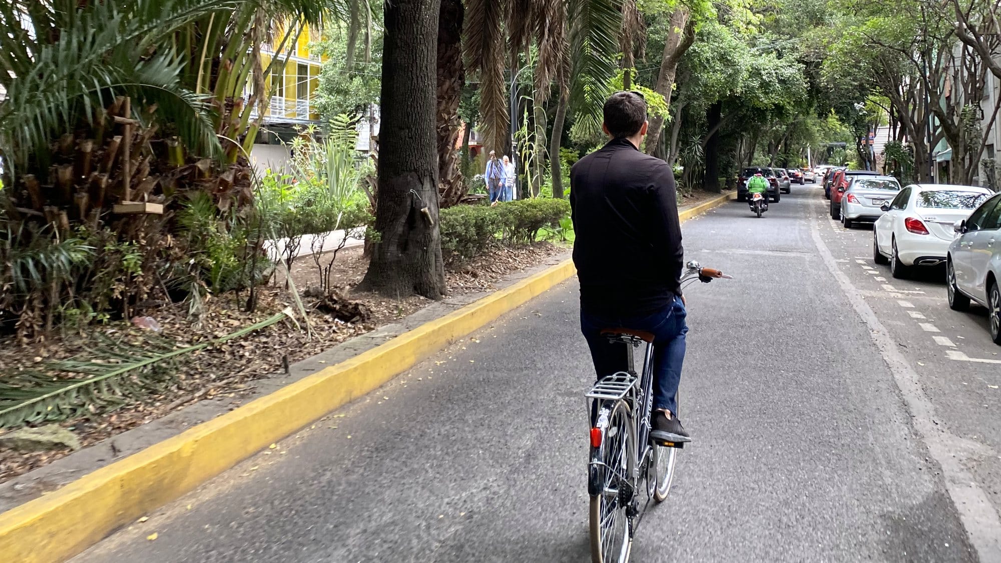 Best Food Tours in Mexico City
